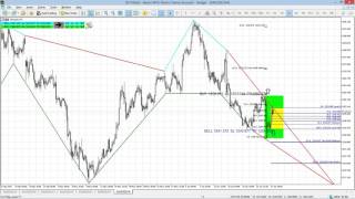 FiboPlus English GOLD MT5 v 2 1
