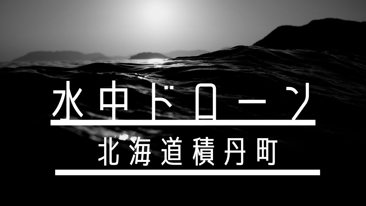 北海道 の 秘密 兵器 dvd