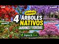 PLANTAS NATIVAS | ARBOLES 1era parte