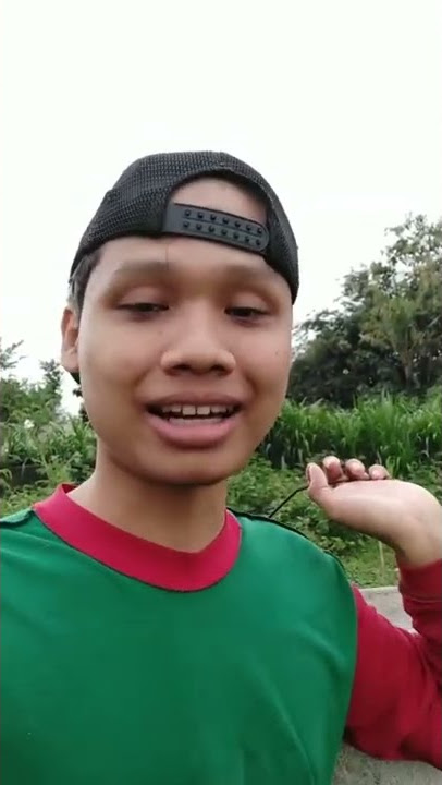 STORY WA | UDAN YO TURU
