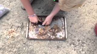 Wilderness survival merit badge