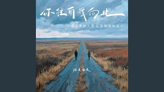 你往南我向北(DJ德朋版)