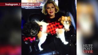 Celebrity Joan Rivers leaves her $150m fortune to her daughter, grandson and….her beloved pups! Net Worth