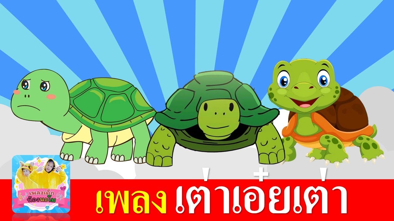เพลง เต่าเอ๋ยเต่า เต่ามันมี4ขา |  เต่า 3 เวอร์ชั่น การ์ตูนน่ารักฟังเพลิน