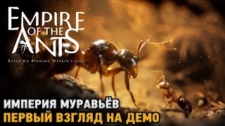 видео: Empire of the Ants # Империя муравьёв ( первый взгляд на демо ) картинка: Empire of the Ants # Империя муравьёв ( первый взгляд на демо )