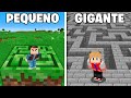 MINI LABIRINTO DE UM BLOCO vs LABIRINTO GIGANTE no Minecraft