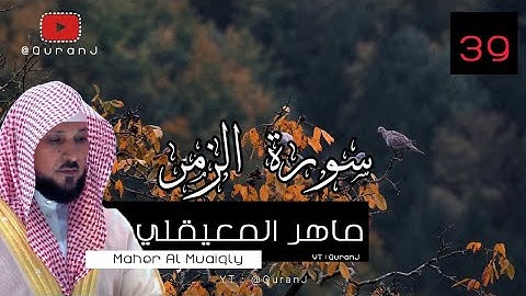 سورة الزمر مكتوبة - المعيقلي | Surah Az zumar " The Troops, The Throngs " Eng Translation  AlMuaiqly