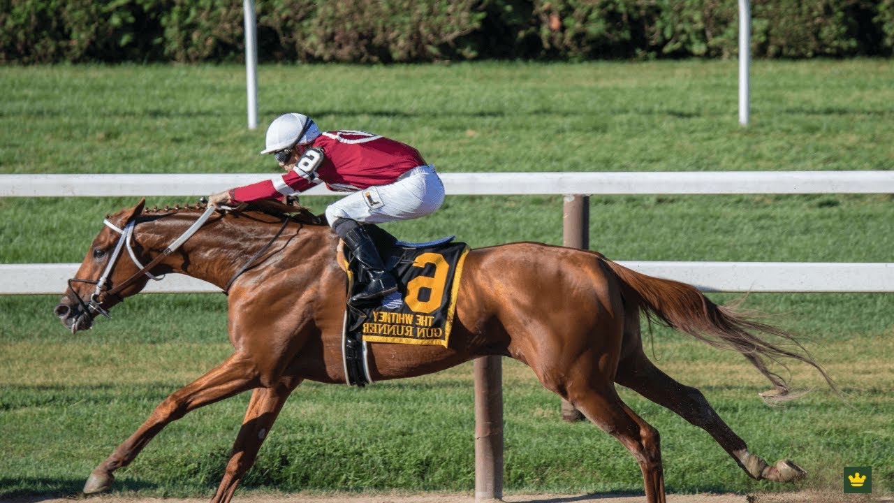 SprintValley The SpeedFueled Virtual Horse Racing Thrill YouTube SprintValley The SpeedFueled Virtual Horse Racing Thrill YouTube