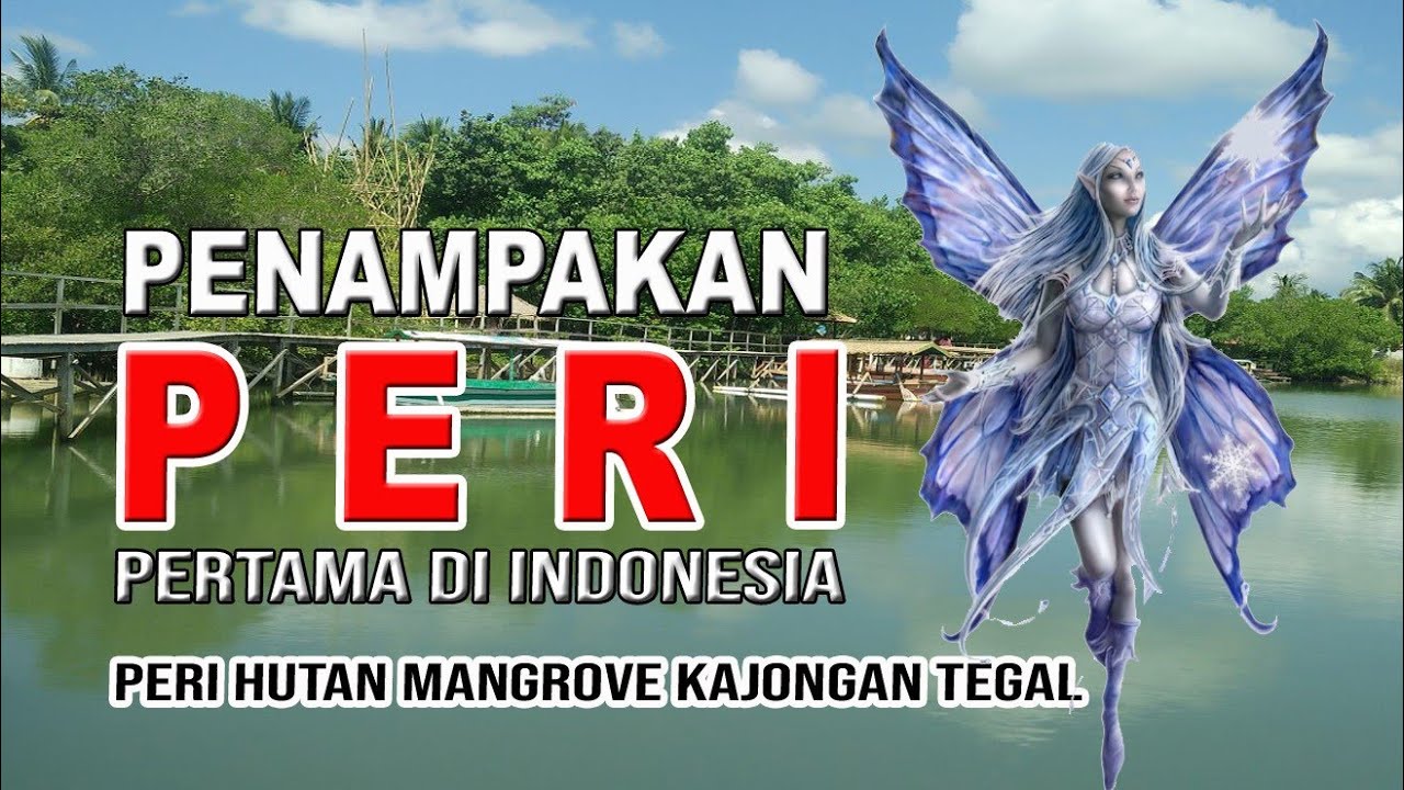 PENAMPAKAN NYATA PERI HUTAN MANGROVE KAJONGAN TEGAL