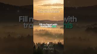 Seeking peace in the heart? Say this prayer #morningprayer #dailyprayer
