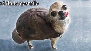 r/Mademesmile | click to smile