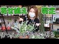 寄せ植えの剪定方法 カット 切り戻し　綺麗な状態を保つには【おうちでガーデニング】開花園チャンネル