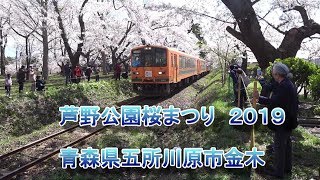 芦野公園桜まつり