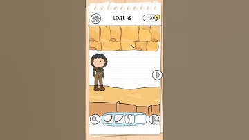 Brain Test 3 Level 45