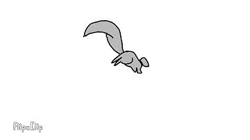 Squirrel running animation