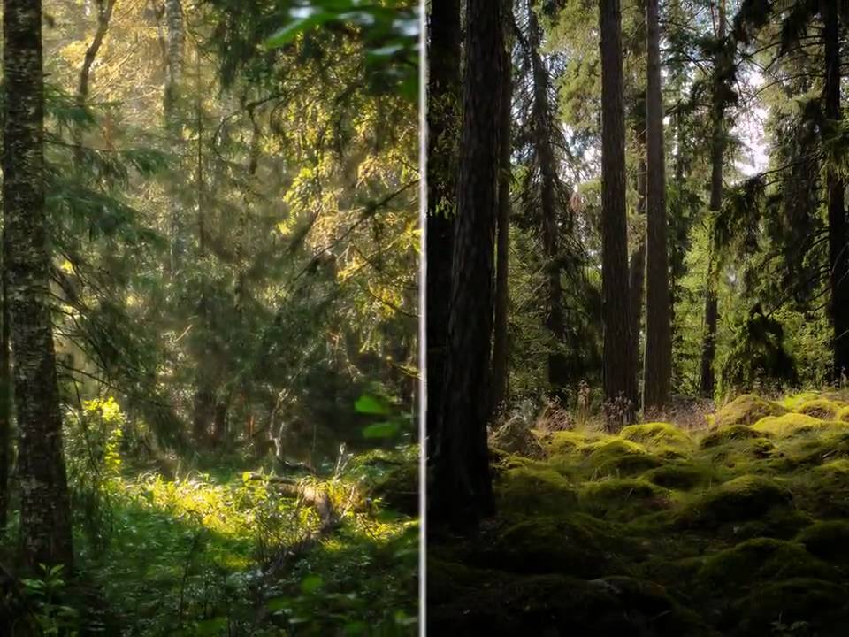 Sweden - Lakes & Forests