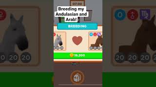 Breeding my  Andulasian and Arab! (Horse valley)