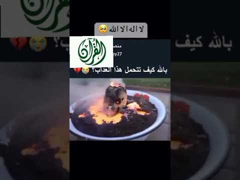 مشهد تخيلي ليوم القيامه منصور السالمي يصب من فوق رؤوسهم الحميم تلاوات قرءانيه