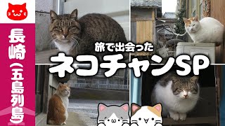 ネコ特集】五島列島・福江島 旅で出会ったネコチャンスペシャル