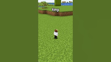 The Player Was Tiny On My Minecraft Server #shorts #minecraft