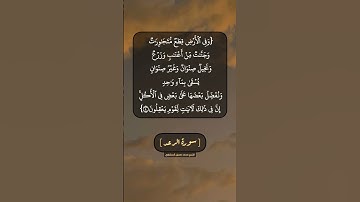سورة الرعد الآية ٤ بصوت الشيخ محمد صديق المنشاوي