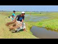 Cast net fishing - Traditional cast net fishing in village with beautiful natural (Part-358)