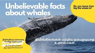 திமிங்கிலங்கள் பற்றிய நம்பமுடியாத உண்மைகள்| Unbelievable facts about whales| whale| Tamil| English