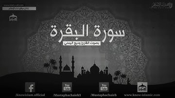 سورة البقره بصوت القارئ وديع اليمني الصفحه 3