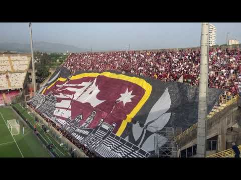 Salernitana-Verona, spettacolare scenografia in Curva Sud: \