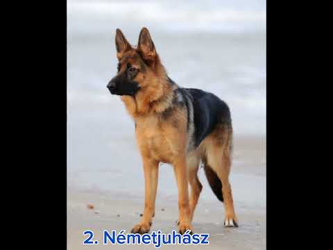 Neked melyik a