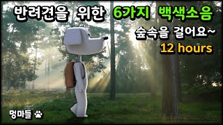 #멍마들  반려견을 위한 6가지 자연의 소리 | 강아지를 위한 백색소음 모음 - sounds of nature for your dogs