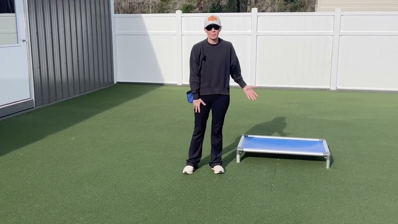 Sawyer Foundation Training