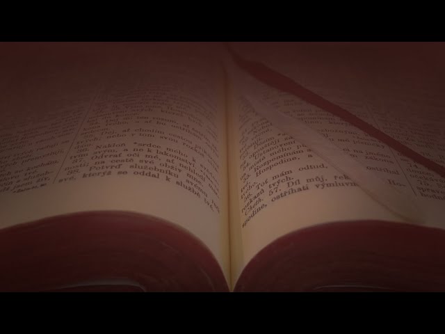 10. 11. 2019 - Petr Stoklasa, Petr Hýsek - Adam Noe a Kristus