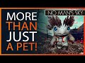 More Than Mere PETS! No Man's Sky Companions Update 3.20 Patch Notes | NMS News 2021 Xaine's World