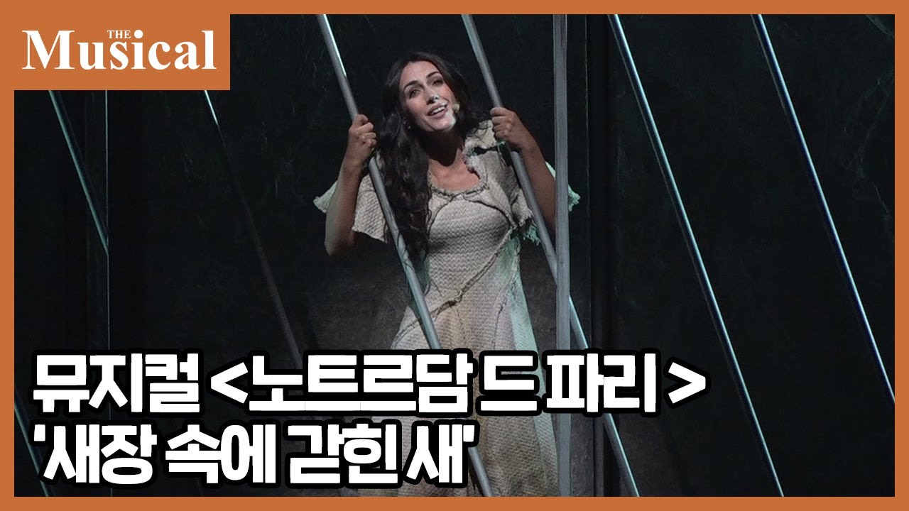 [더뮤지컬] 뮤지컬 '노트르담 드 파리' 프렌치 오리지널 내한 공연 中 '새장 속에 갇힌 새' | 예스24