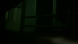 IMG 1579