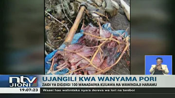 Tsavo: Zaidi ya digidigi 100 wadaiwa kuuawa na wawindaji haramu