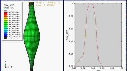 Isometric Contraction Simulation: Abaqus and user-defined routine