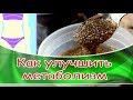 ➤ Как улучшить метаболизм ➤