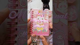 so mini journal with me