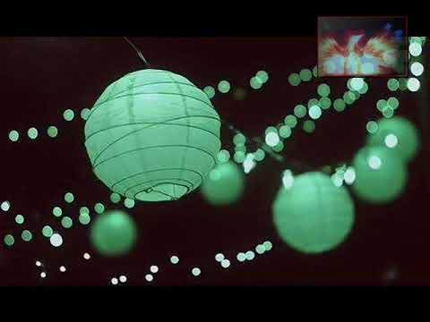 انسان فى ارض الله