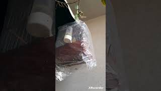 Florya Guzel Sesler 20Ocak 2025