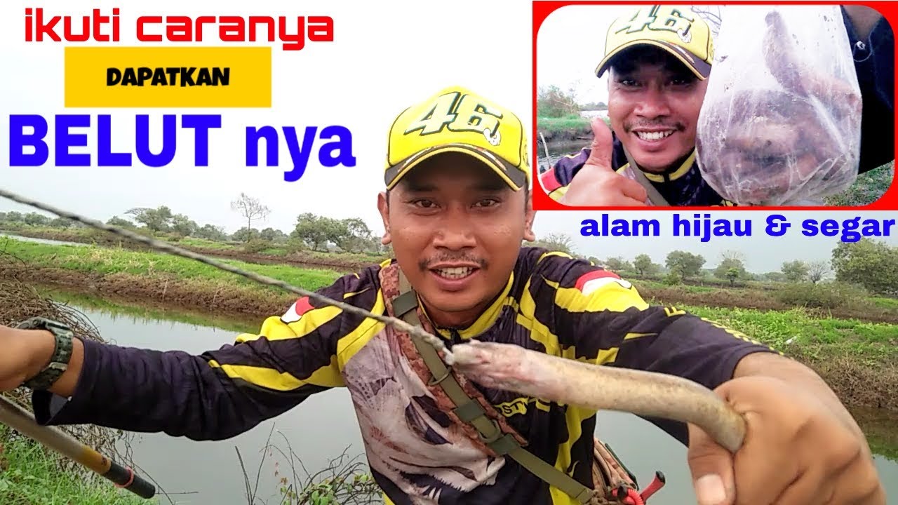 Cara Mancing Belut di Tambak Lubang Bawah Air Pakai Joran di Sidoarjo
