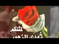 ياديرتي عاد حبك ماكتمل فديتگ قرية شرود