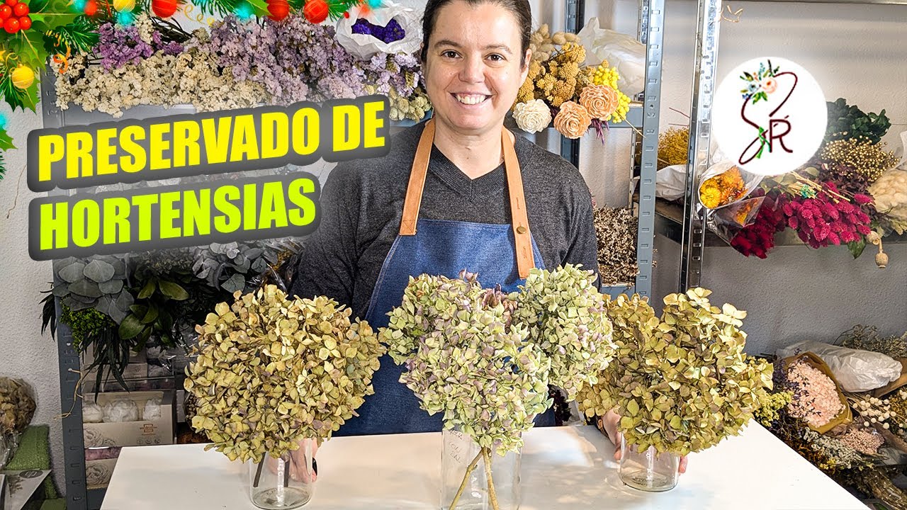 ¿Funciona la Glicerina en Hortensias? 🌸 Prueba Real con 3 Métodos comparados y Resultado Final