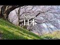 「日本」Nihon /Cover song by Yusuke Tominaga