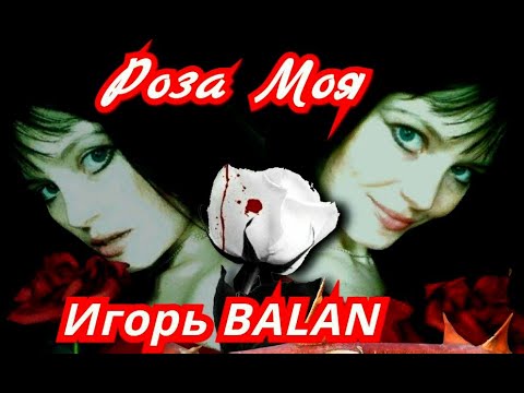 Игорь BALAN 2021 Роза моя