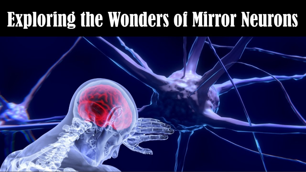 Mysterious Mirror Neurons !