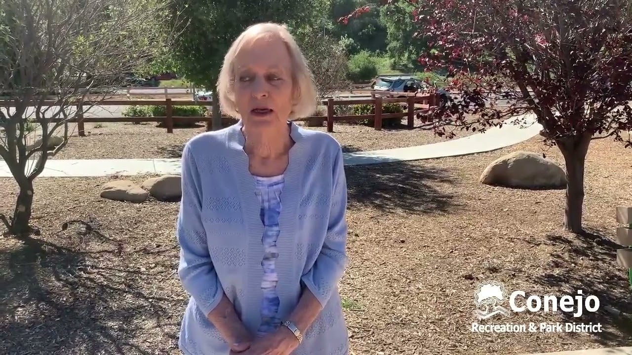 Vice Chair, Susan L. Holt Introduction to CRPD