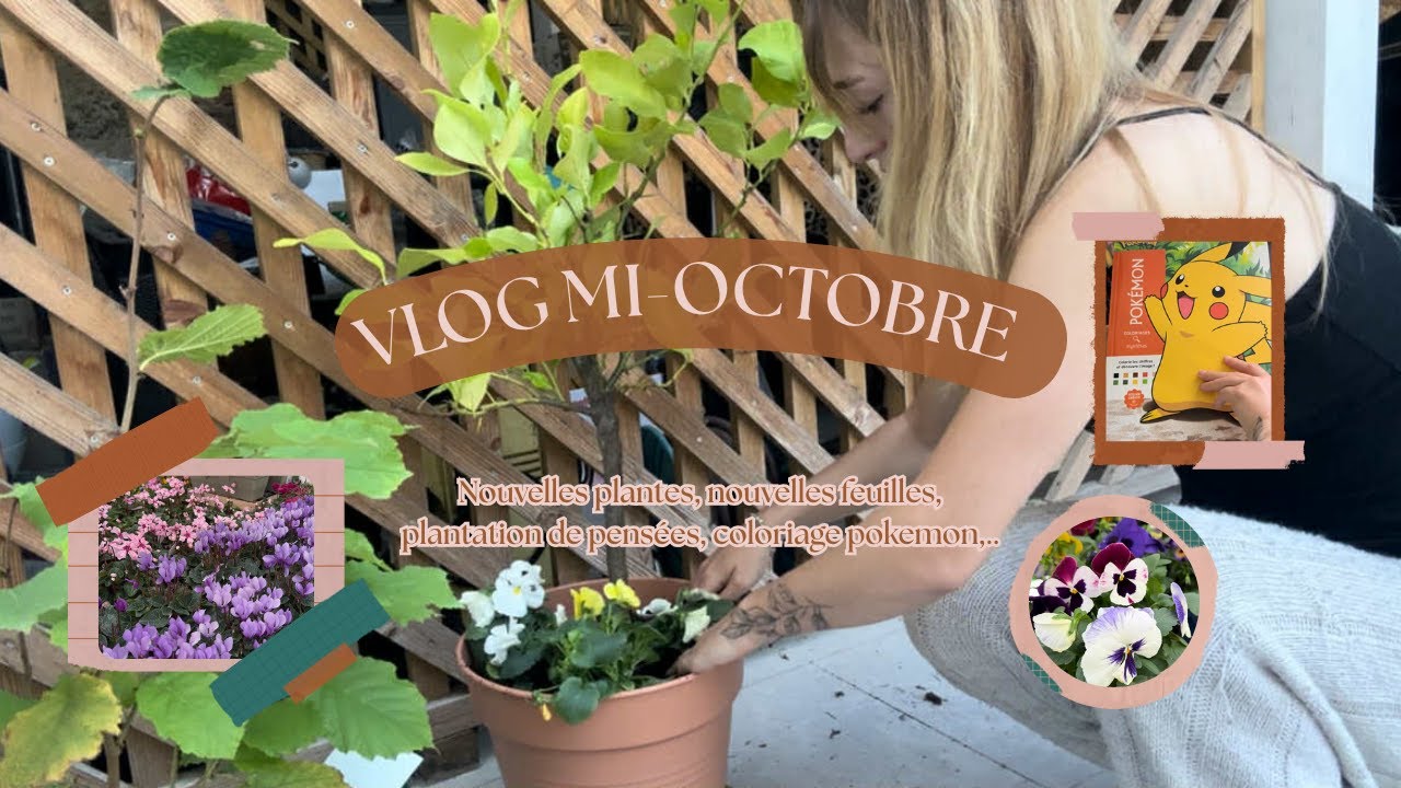 Vlog Mi octobre avant la Toussaint | Nouvelles plantes, nouvelles feuilles, Pensées, coloriage,…